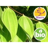 Aceite Esencial de Canela del Himalaya Silvestre y BIO