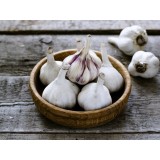 Aceite Esencial de Ajo