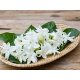 Absoluto de Jazmin Grandiflorum