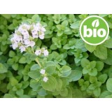 Aceite Esencial de Mejorana Dulce BIO