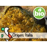 Aceite Esencial de Siempreviva BIO - Italia