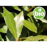 Aceite Esencial de Laurel BIO