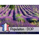 Aceite Esencial de Lavanda BIO de Provenza