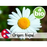 Aceite Esencial de Manzanilla Azul BIO