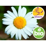 Aceite Esencial de Manzanilla Azul Silvestre y BIO