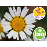 Aceite Esencial de Manzanilla Silvestre de Marruecos BIO
