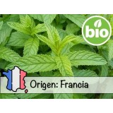 Aceite Esencial de Menta Piperita BIO - Francia