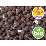 Aceite esencial de Bayas de Sil Timur - Silvestre