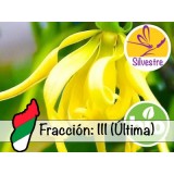 Aceite Esencial de Ylang Ylang III - Silvestre BIO