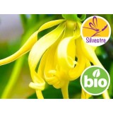 Aceite Esencial de Ylang Ylang Completo (Totum) Silvestre BIO