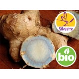 Aceite esencial de Zedoaria - Silvestre