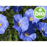 Aceite de Semilla de Lino Virgen BIO