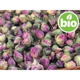 Capullos de Rosa Damascena BIO - Enteros