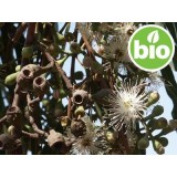 Aceite Esencial de Eucalipto Citriodora BIO