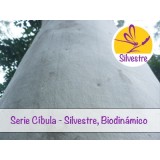 Aceite Esencial de Eucalipto Citriodora - Australiano