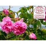 Extracto líquido de Rosa Damascena Ecocert - Hidroglicerinado.