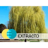 Extracto líquido de Sauce BIO - Hidroglicerinado