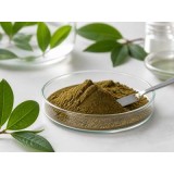 Extracto de Té Verde 90%