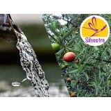 Hidrolato de Sándalo Spicatum Silvestre y BIO