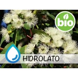 Hidrolato de Eucalipto BIO