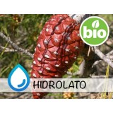 Hidrolato de Pino de Alepo BIO