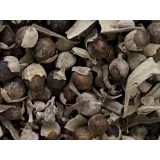 Sauzgatillo - Frutos Silvestres