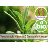 Romero Brotes Jóvenes - Yemoterapia