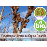 Espino Amarillo Brotes Jóvenes - Yemoterapia