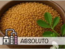 Absoluto de Fenogreco