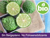 Aceite Esencial de Bergamota sin Bergapteno BIO
