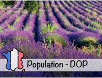 Aceite Esencial de Lavanda de Provenza (DOP) - Francia