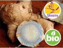 Aceite esencial de Zedoaria - Silvestre