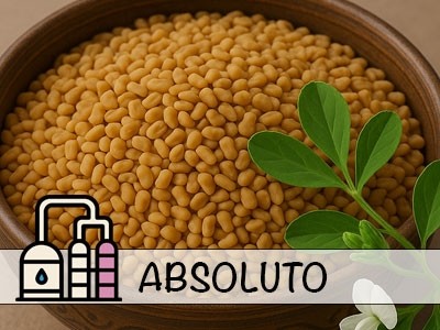 Absoluto de Fenogreco