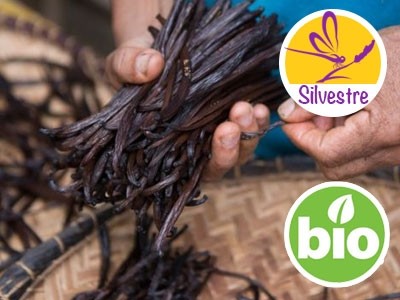 Vainas naturales de Vainilla Bourbon Premium, Ecológicas