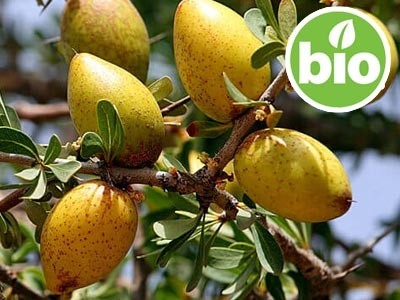 Aceite de Argán Virgen de 1ª presión en frío BIO