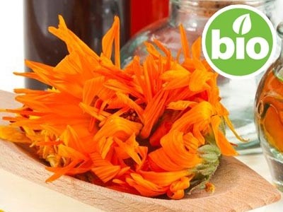 Aceite de Caléndula BIO en Oliva BIO