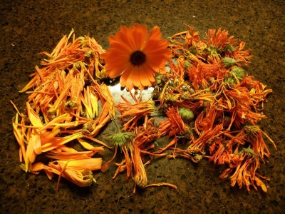 Aceite de Caléndula