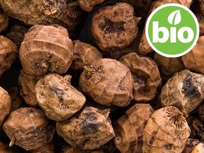 Aceite de Chufa Virgen 1ª presión BIO