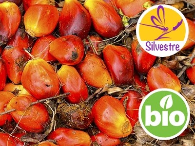 Aceite de Palma Refinado BIO de Economía Circular