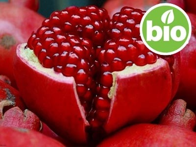 Aceite de Pepita de Granada Virgen 1ª presión BIO