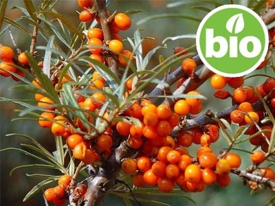 Aceite de Espino Amarillo extracción CO2 - BIO