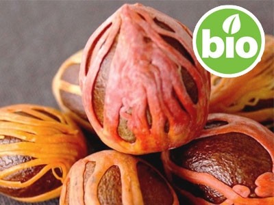 Aceite Esencial de Nuez Moscada BIO - Silvestre