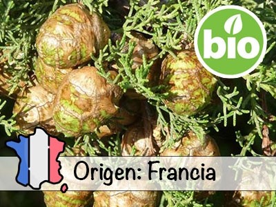 Aceite Esencial de Ciprés de Provenza BIO -  Francia