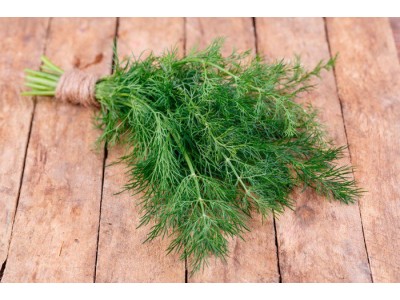 Aceite Esencial de Eneldo