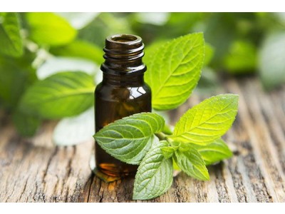 Aceite Esencial de Menta Piperita