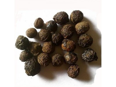 Aceite Esencial de Bayas de Laurel - Sugandha Kokila