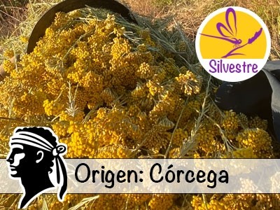 Aceite Esencial de Siempreviva BIO - Córcega