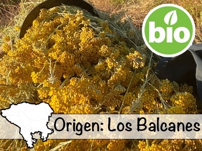 Aceite Esencial de Siempreviva BIO - Los Balcanes
