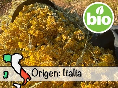 Aceite Esencial de Siempreviva BIO - Italia