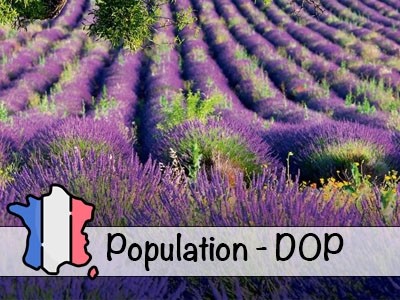 Aceite Esencial de Lavanda BIO de Provenza